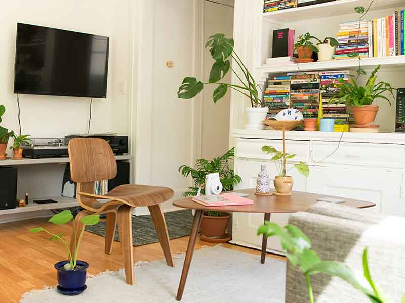 Living space with plants and bookshelf
