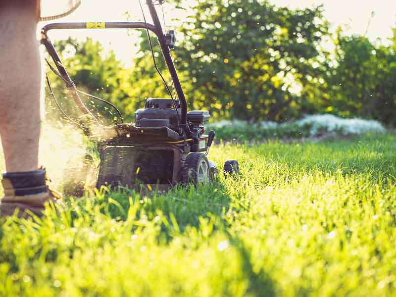 Lawn mower cutting grass