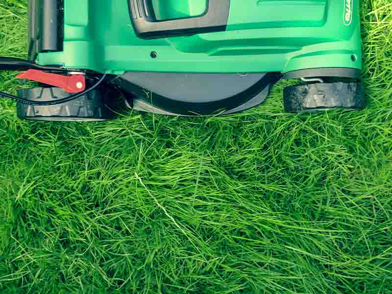 Lawn mower cutting green grass