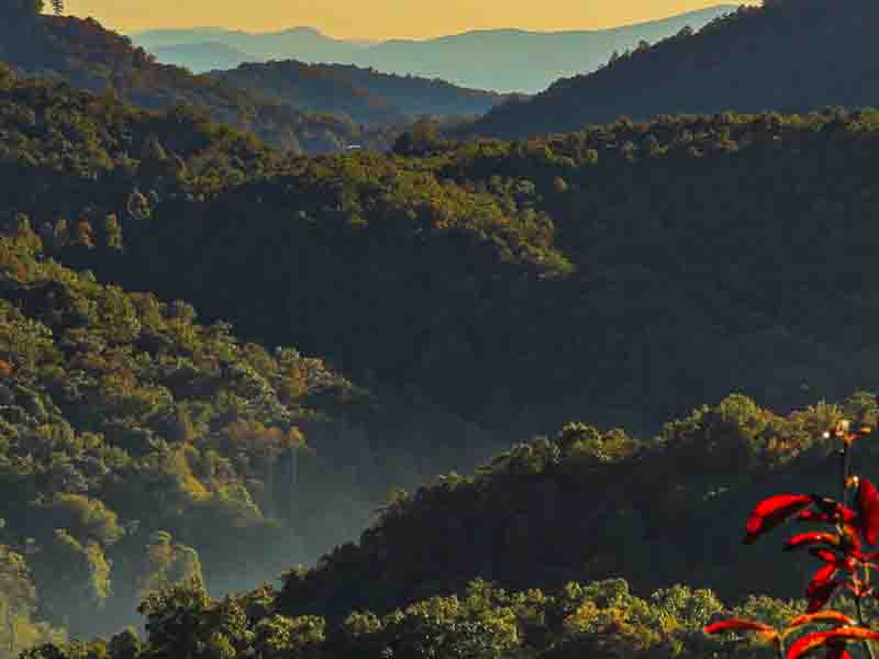 Asheville, North Carolina