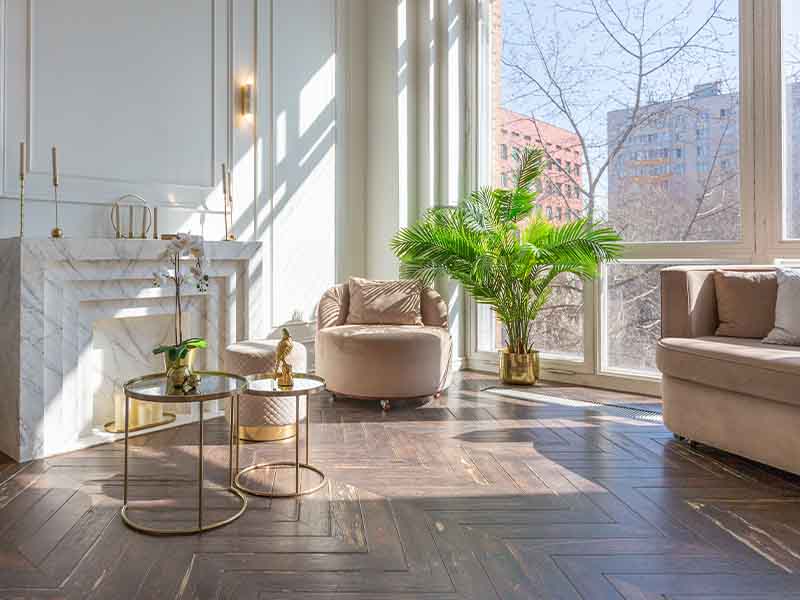 Light airy apartment with plant and chairs