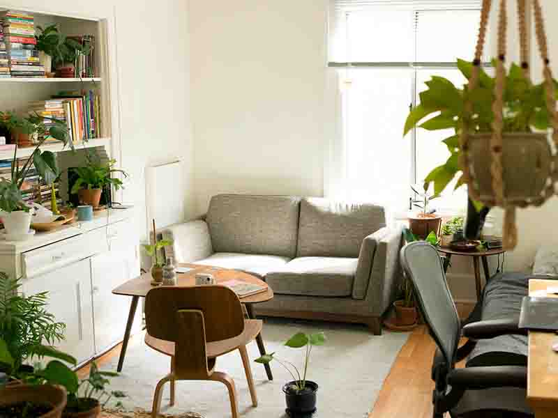 Small apartment with couch and plants
