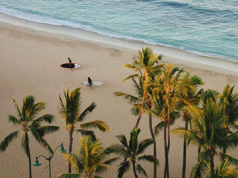 Surfers on a beach