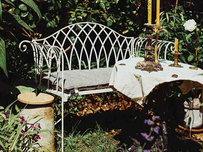Bench in garden