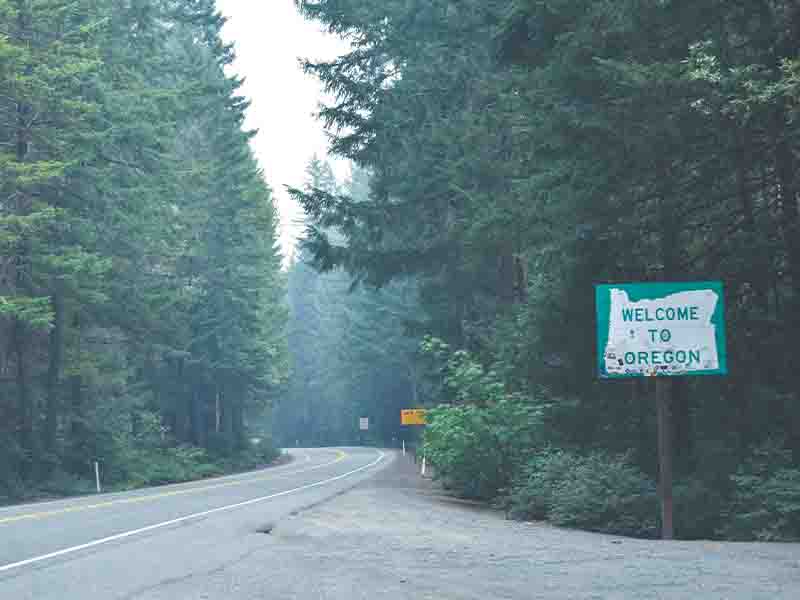 Trees and roads in Oregon